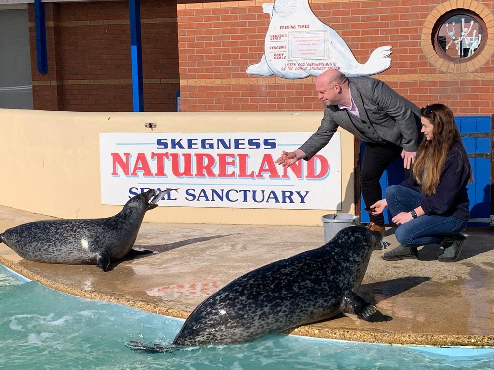HomeMove Lincolnshire to support Skegness Natureland Seal Sanctuary.