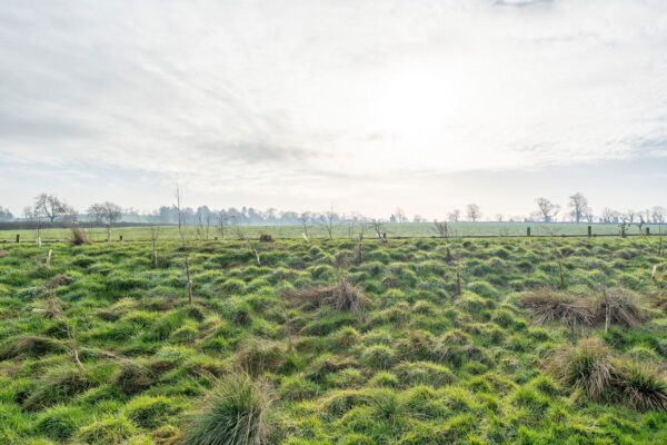 Tigers Road, Fleckney, Leicestershire, LE8 8EG