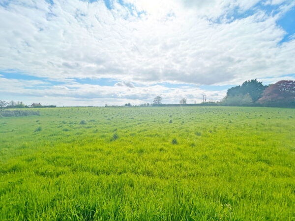 St. Michaels Lane, Wainfleet St. Mary, Skegness, Lincolnshire, PE24 4HB
