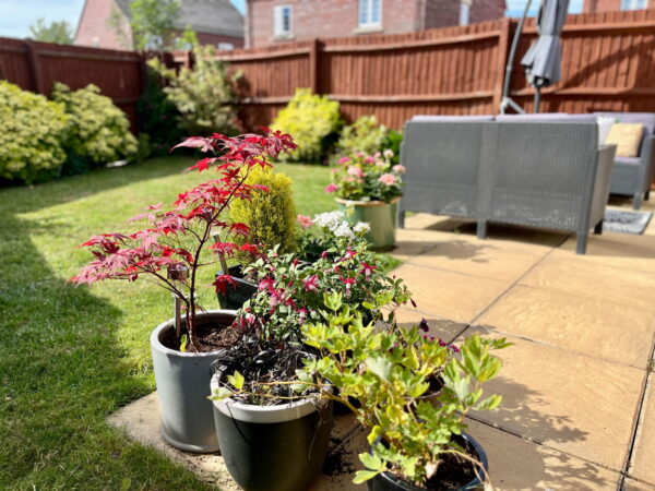 Southfield Avenue, Sileby, Loughborough