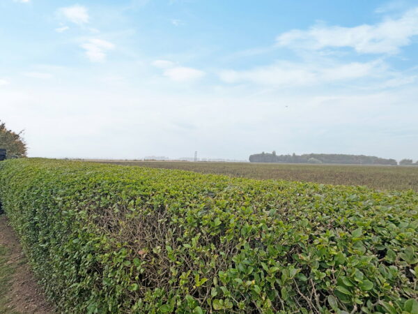 Holland Drive, Skegness, Lincolnshire, PE25 3NH