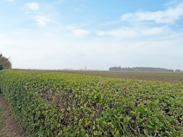 Holland Drive, Skegness, Lincolnshire, PE25 3NH