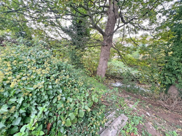 Talbot Street, Whitwick, Coalville, Leicestershire, LE67 5AZ