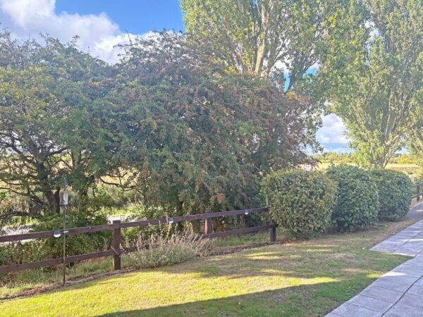 Pickwell Way, Skegness, PE25 2SR