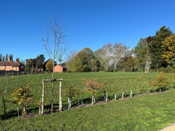 Steeple Drive, Brooksby, Melton Mowbray, Leicestershire, LE14 2DA